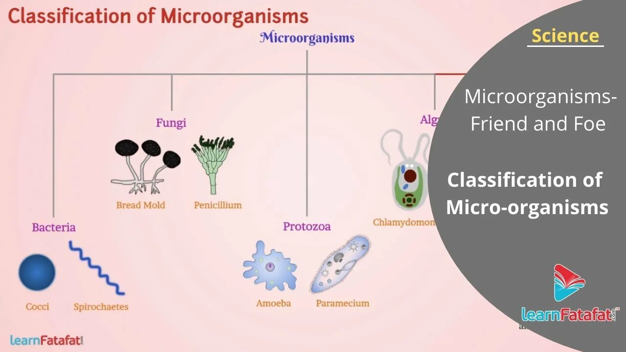 Классификация наук. Project classification. Science classification. Modern classification of sciences. Классификация наук в философии.