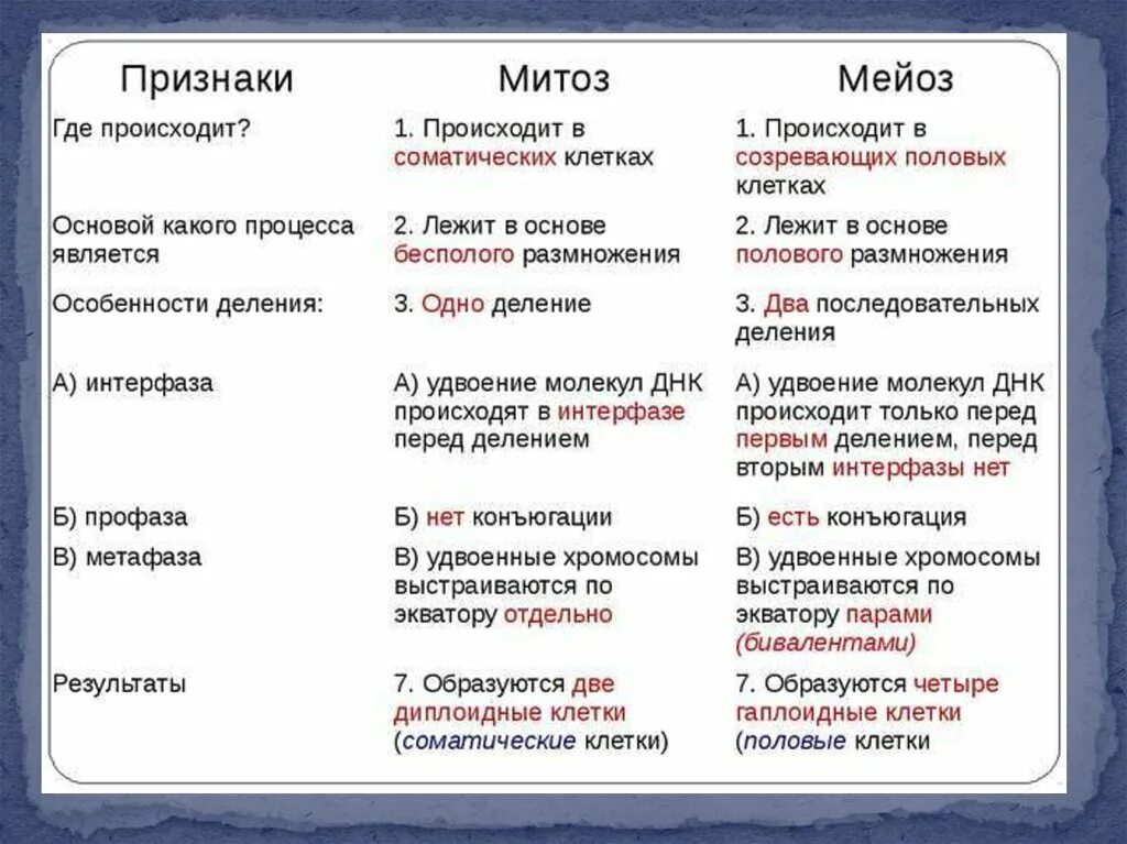 Типы деления клеток 3 типа. Тип деления митоза и мейоза таблица. Сравнительная характеристика процессов деления клеток. Деление клетки митоз и мейоз таблица. Основные характеристики митоза и мейоза.