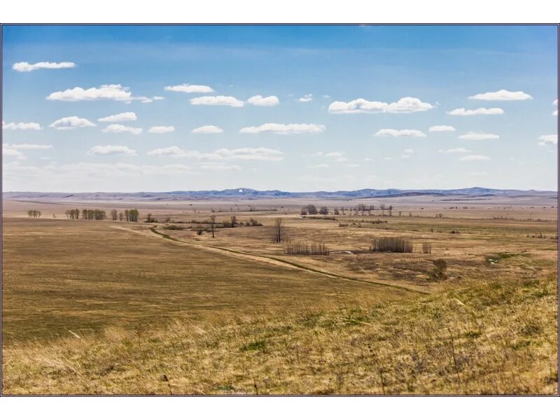 Ивановка курьинский район. Курья (Курьинский район). Курья Курьинский район Алтайский край. Село Ивановка Курьинский район. Ивановка Курьинский район Алтайский край.