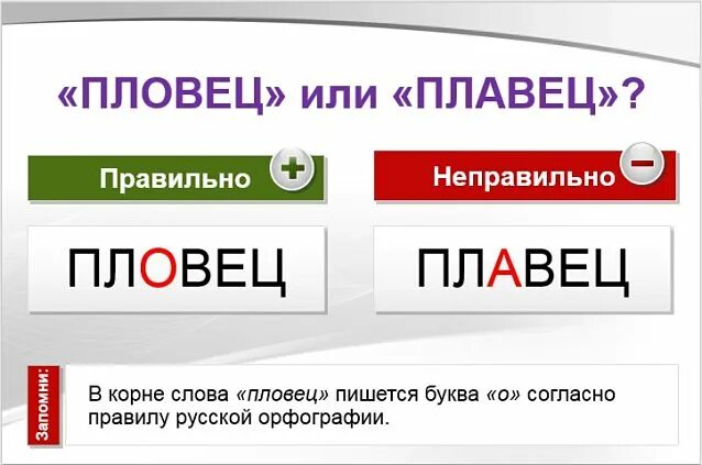 Пловец как пишется. Почему пишется пловец. Как правильно пишется слово. Как правильно пишется слово пловец или плавец. Интересуешься как пишется правильно