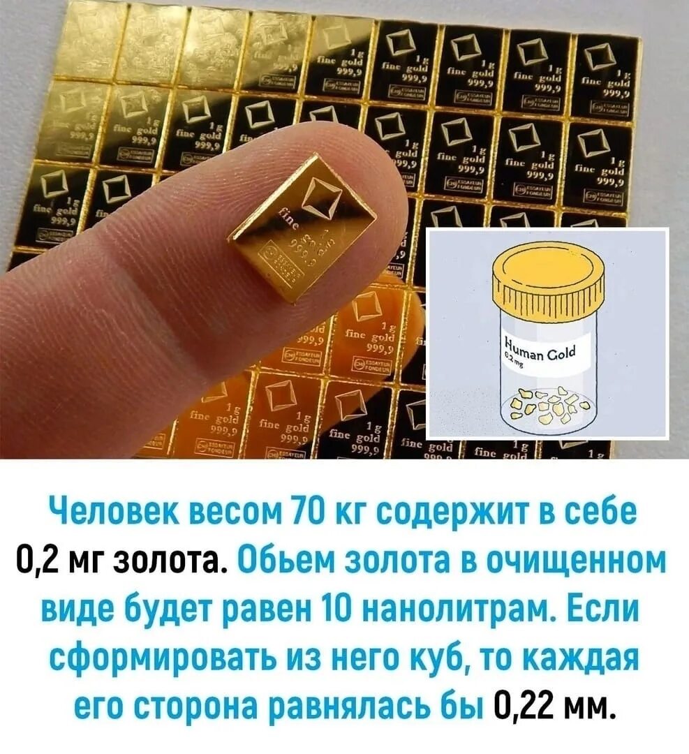 Сколько грамм золота в человеке. Золото за 10 грамм. Масса слитка золота 999 пробы. Слиток золота 100 грамм 999 пробы. 1 грамм золота.