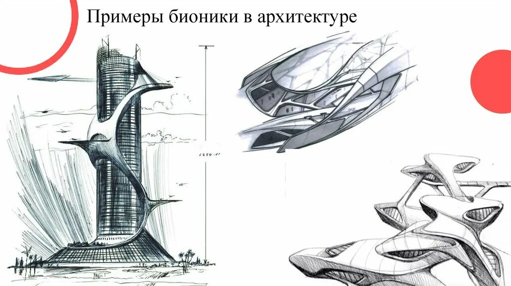 Общеморфологическая Бионика. Бионика в архитектуре. Бионика в архитектуре и дизайне. Техническая Бионика.