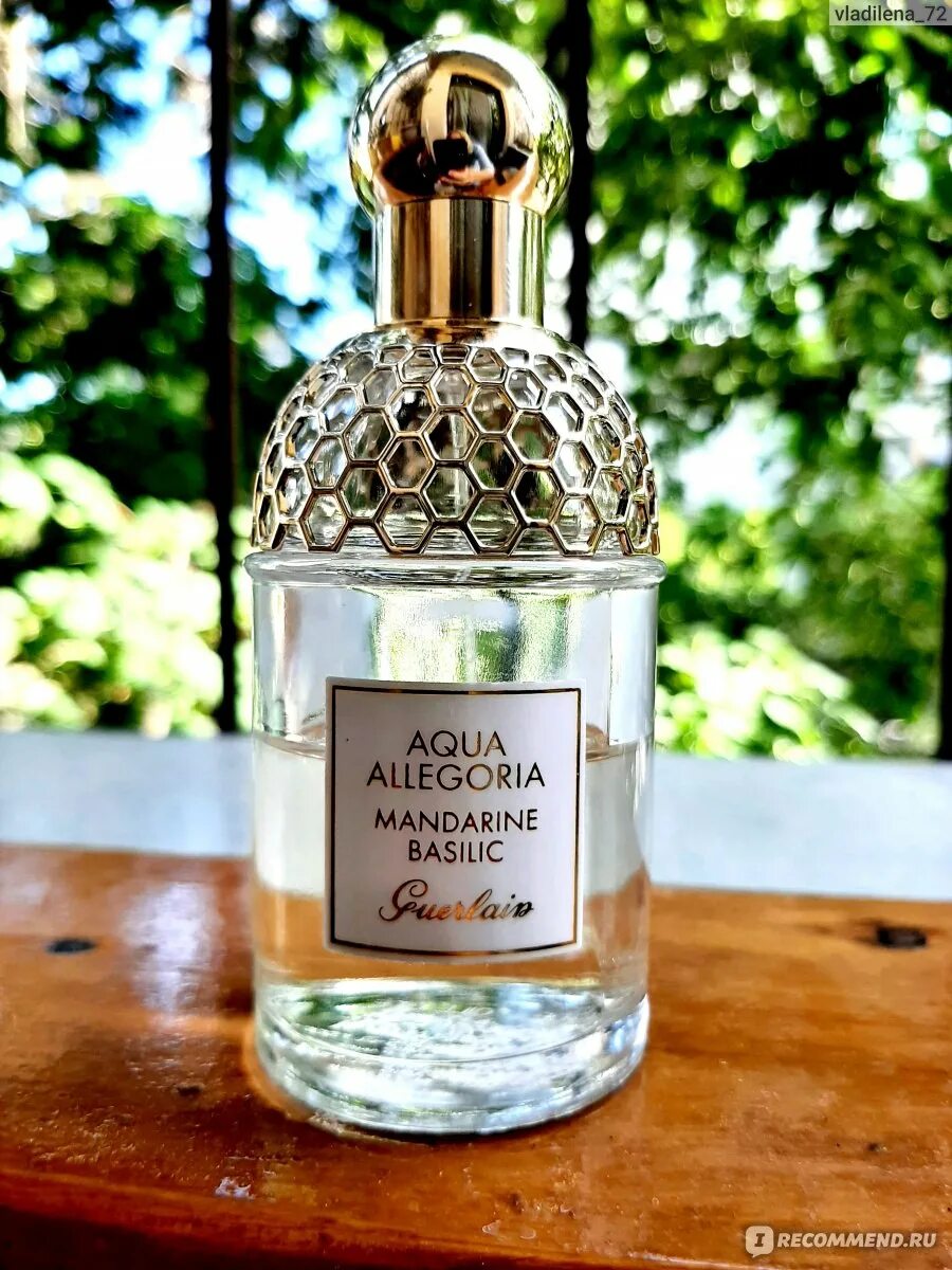 Guerlain aqua allegoria mandarine basilic туалетная вода. Guerlain Aqua Allegoria Mandarine basilic. Аква аллегория Harvest Mandarin basilic реклама.