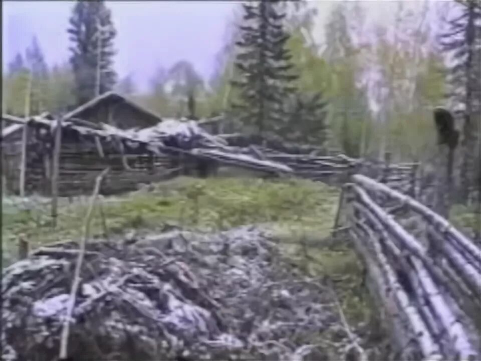 Про тайгу документальные. Мистические истории про тайгу из реальной жизни. Про тайгу документальные. Счастливые люди: енисей (2008). Промысловые охотники сибирской тайги.