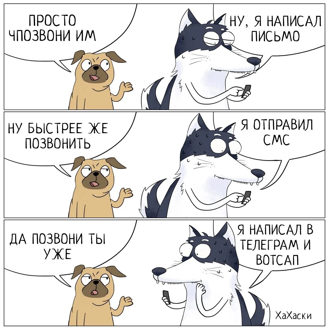 Позвони напиши как твои дела. Хаски приколы. Хаски смешные мемы. Хаски комикс. Анекдот про хаски.