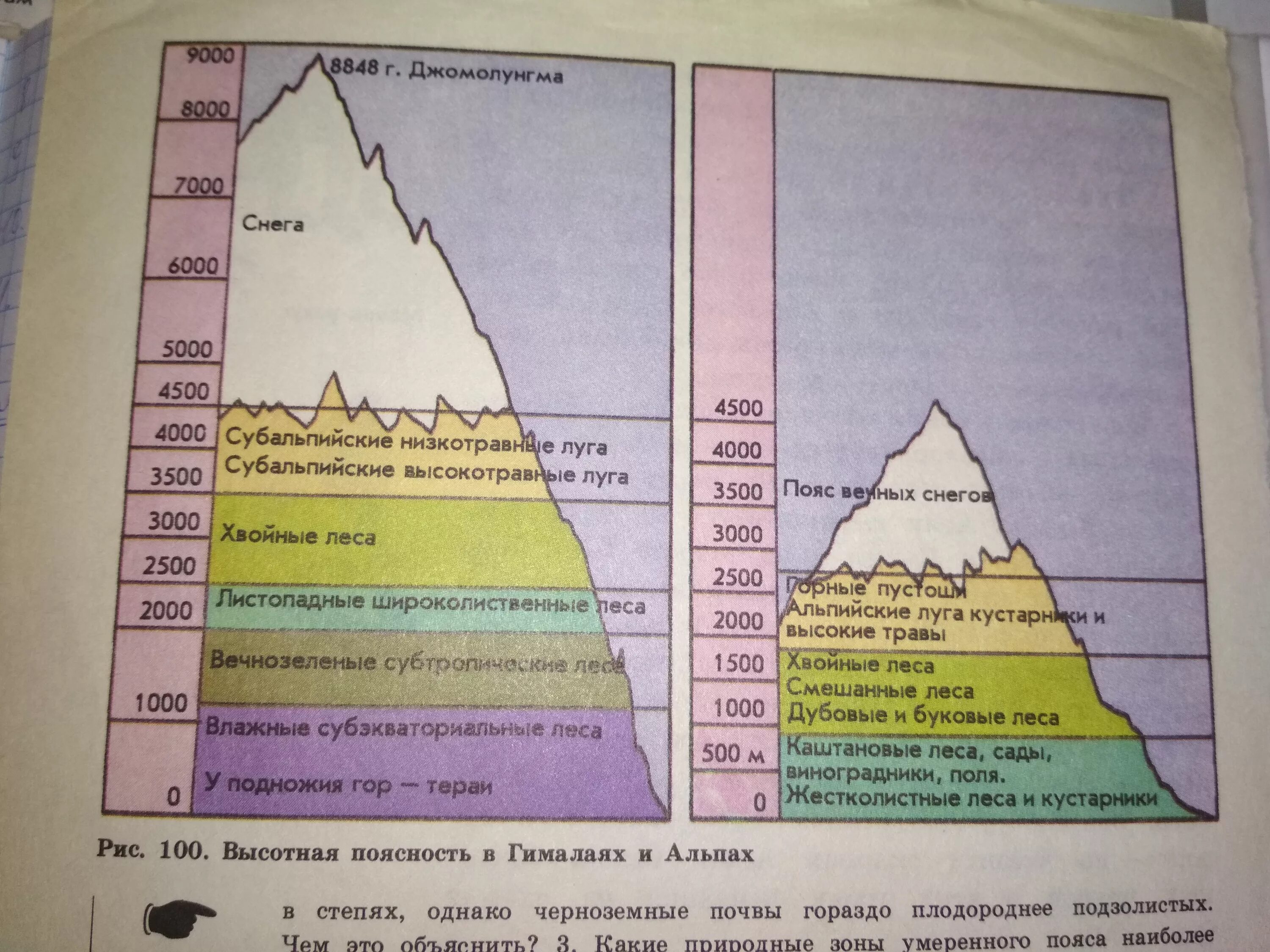 Высотная поясность в горах Алтая. Высотная поясность гор Кавказа. Природные зоны Кавказа Высотная поясность. Схема ВЫСОТНОЙ поясности горы Эльбрус.