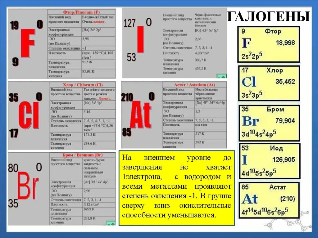 Фтор номер элемента. Фтор галоген. Положение галогенов в ПСХЭ. Таблица фтор галоген. Галогены в таблице Менделеева.