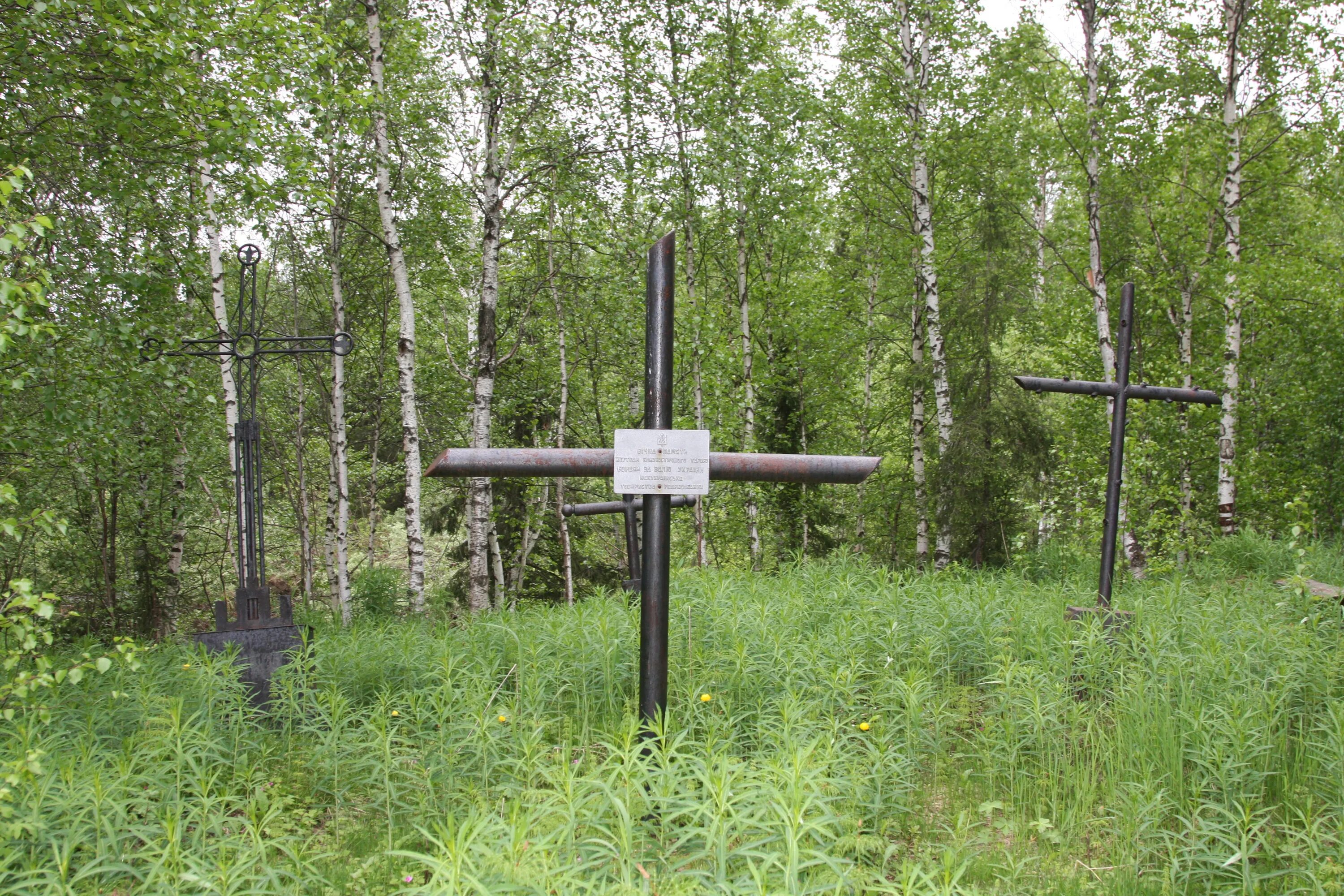 Захоронение осужденных. Кладбища для осужденных. Захоронение заключенных. Могилы пожизненно заключенных. Кладбище заключённых.