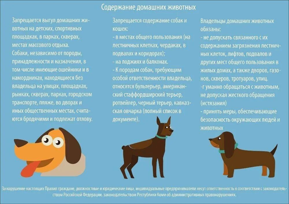 Как правильно подобрать собаку
