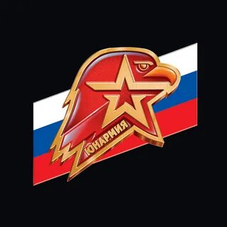 Значок юнармии