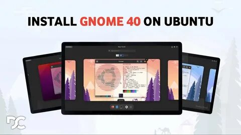 Gnome 40