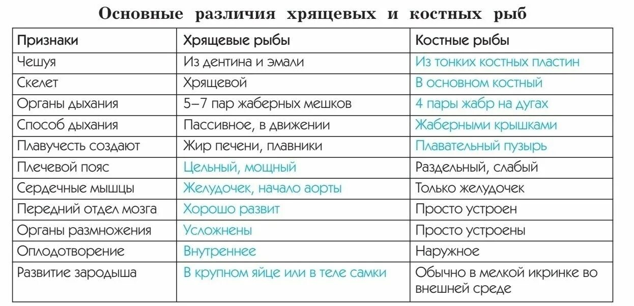 Чем отличаются классы рыб. Сравнение костистых и хрящевых рыб. Сраавнени ехрящевых и костных рыб. Сравнение хрящевых и костных рыб. Сравнение класса хрящевые и костные рыбы.