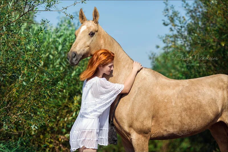 Покажи человек лошадь. Человек на лошади. Человек конь. Лошадки и люди. Лошадь с хозяйкой.