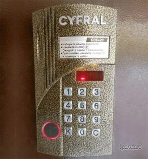 Цифрал интел
