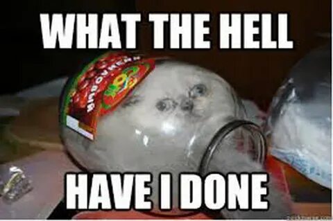 What the hell meme
