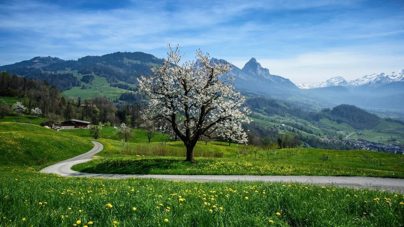 Natural spring