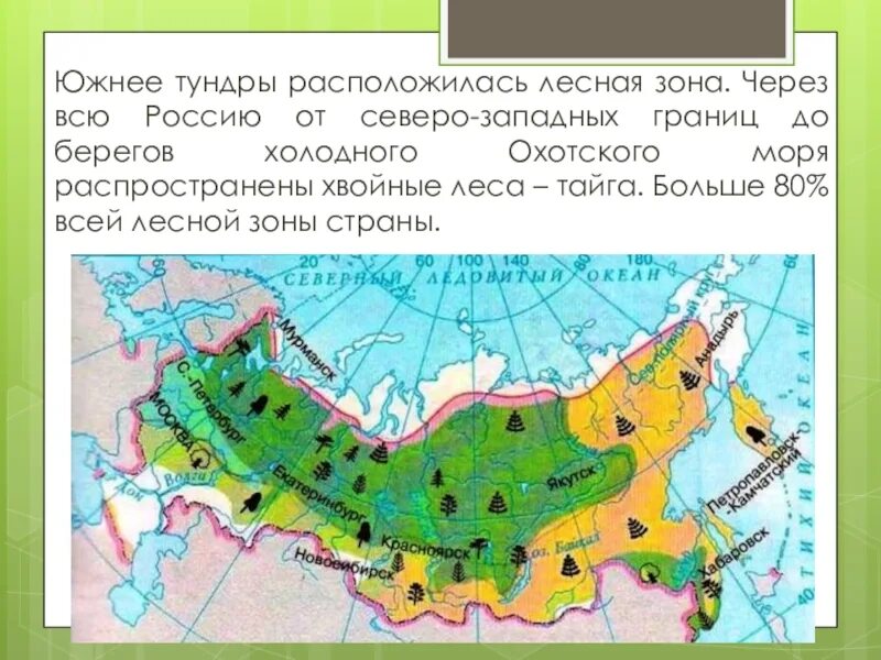 Природная зона лесов на карте России. Тайга на карте России природных зон. Границы природных зон России. Тайга природная зона на карте. Карта природных зон 4 класса учебник