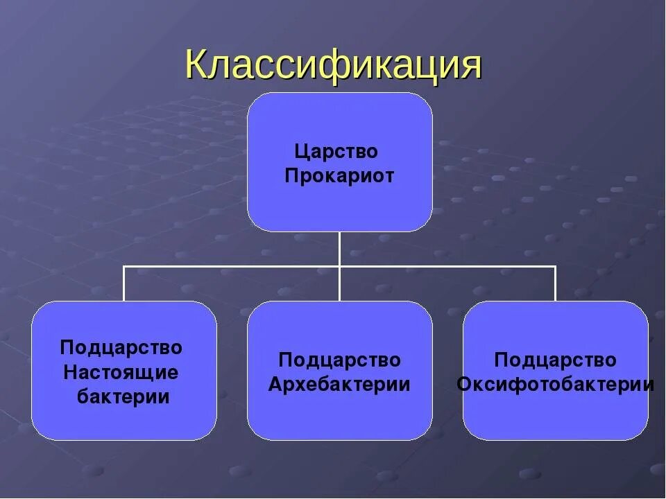 Классификация прокариот. Классификация микроорганизмов-прокариот. Классификация прокариот схема. Прокариоты бактерии классификация. Классификация прокариот.