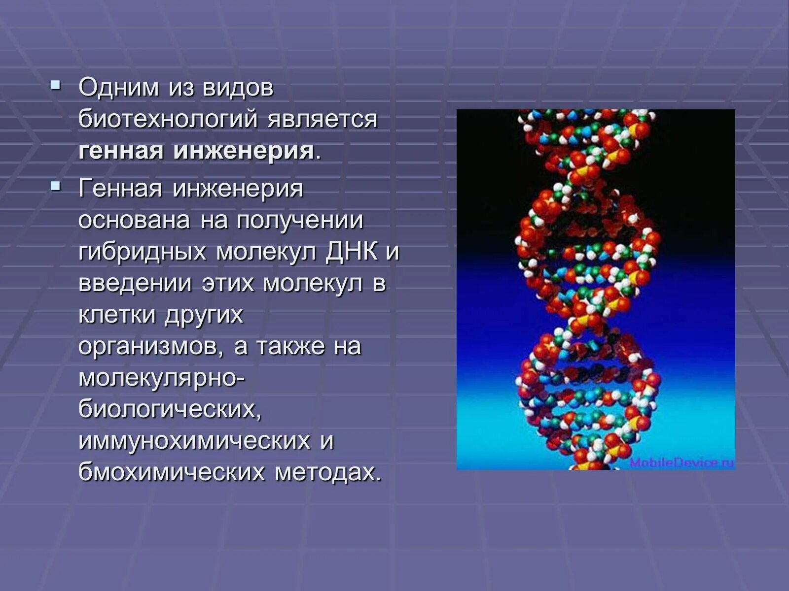 Биотехнология клеточная и генная. Генная инженерия. Генная инженерия в биотехнологии. Генетика и генная инженерия. Генная инженерия презентация.