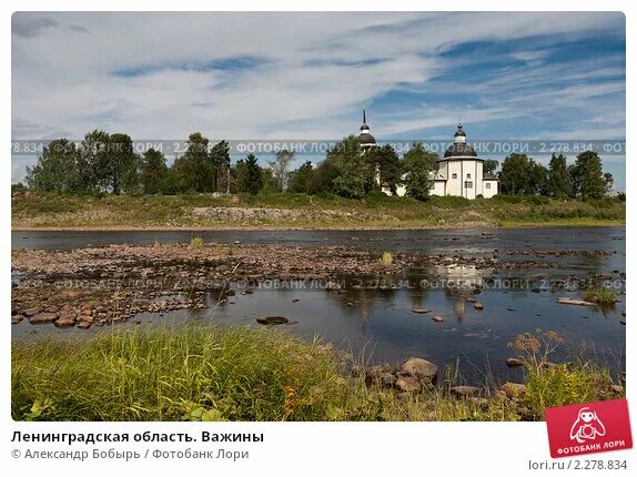 Вепсский лес осень