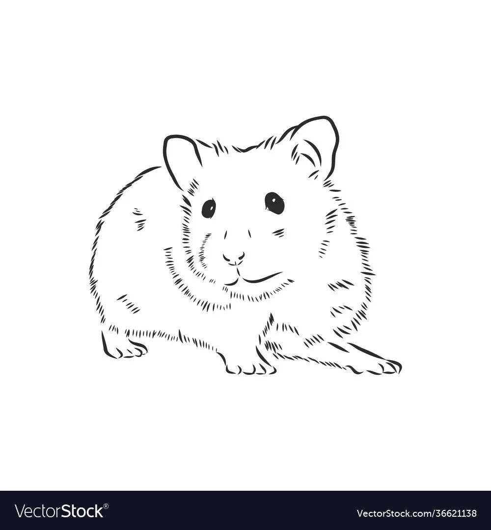 Раскраски для детей распечатать бесплатно хомяка Guinea Pig Coloring Pages Best Coloring Pages For Kids Cartoon coloring pages,