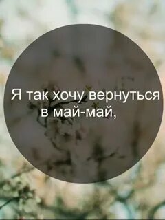 Песня май май смысл