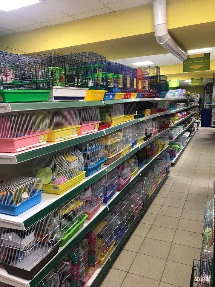 Петшоп зоомагазин мурманск. Вольт сургут зоомагазин. Мурманск магазины. Петшоп зоомагазин мурманск. Зоомагазин в благовещенске амурская.