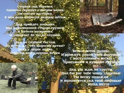 Скрип ветра