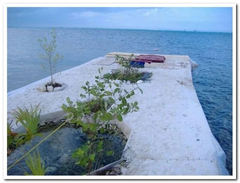 Остров из бутылок. Остров из пластиковых бутылок. Остров ричарда из бутылок. Плавучий остров из бутылок. Искусственный остров из бутылок.