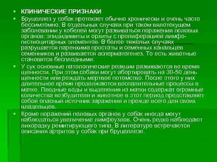 Признаки бруцеллеза