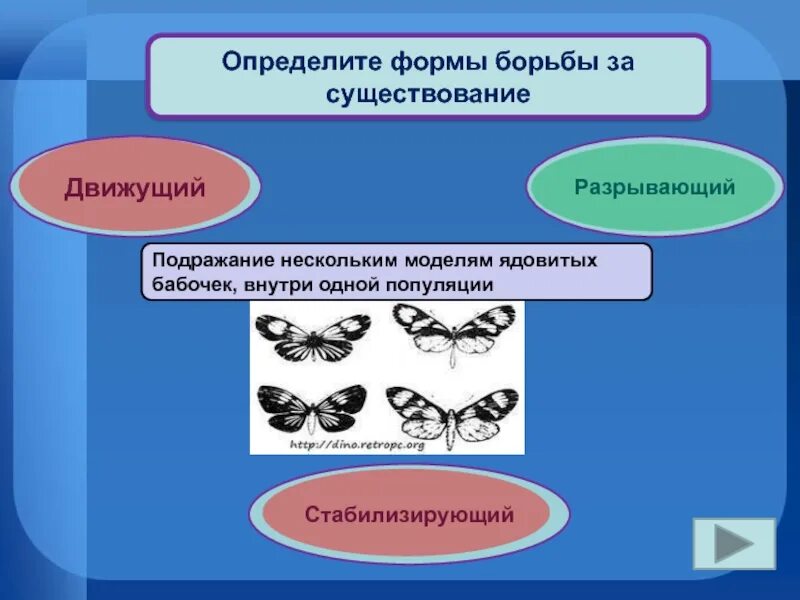 Формы естественного отбора презентация. Формы естественного отбора презентация 11 класс. Формы естественного отбора 11 класс биология. Естественный отбор презентация 11 класс по биологии. Борьба за существование и естественный отбор тест