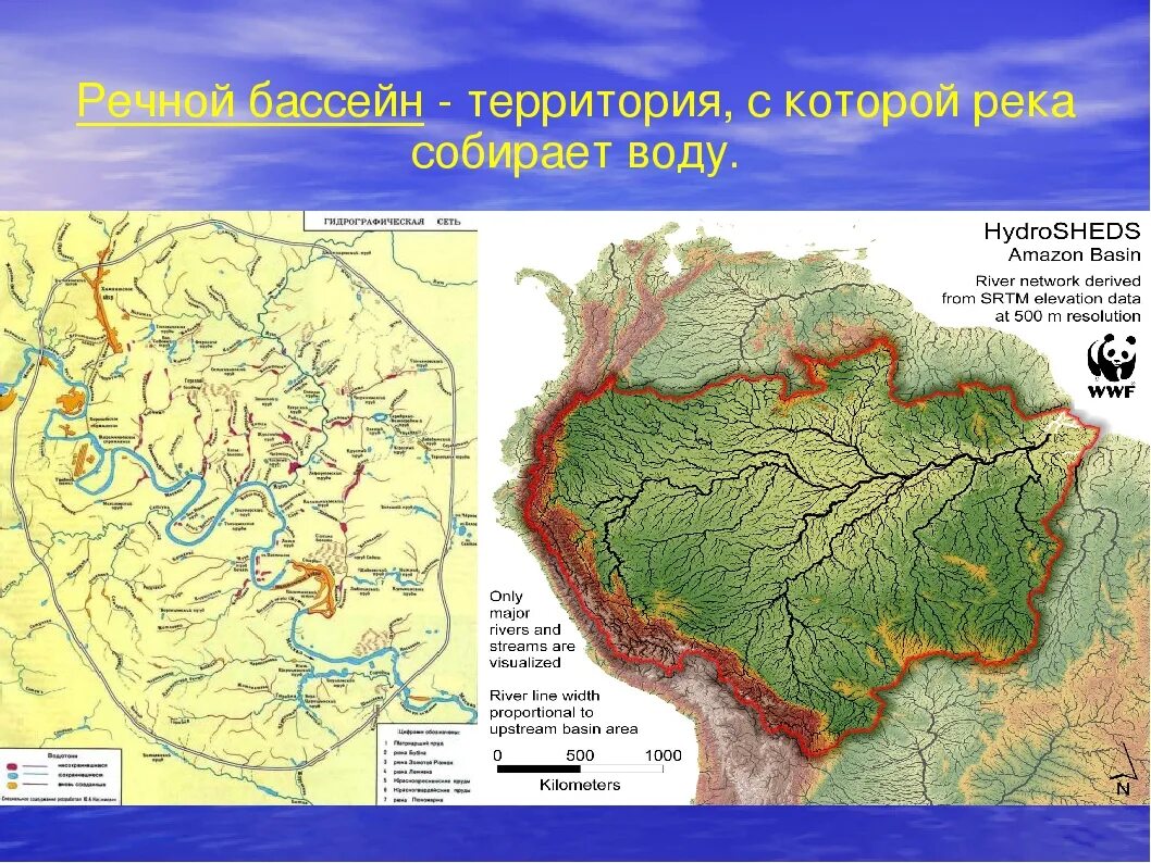 Бассейны рек виды