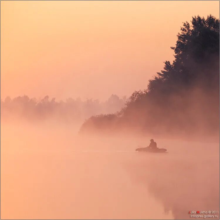 Серый лес ри гува книга. Искусство тишины картина. Цвет нефрит оттенки названия. Читать цвет тишины. Ри гува черный белый.
