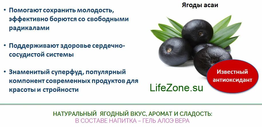 Эвтерпа асаи. Сок асаи. Ягоды асаи порошок. Ягоды асаи полезные свойства. Асаи ягода польза.