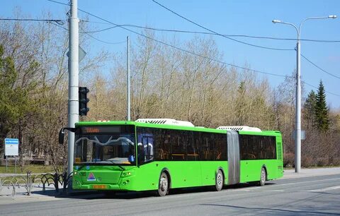 Автобус кировск синявино
