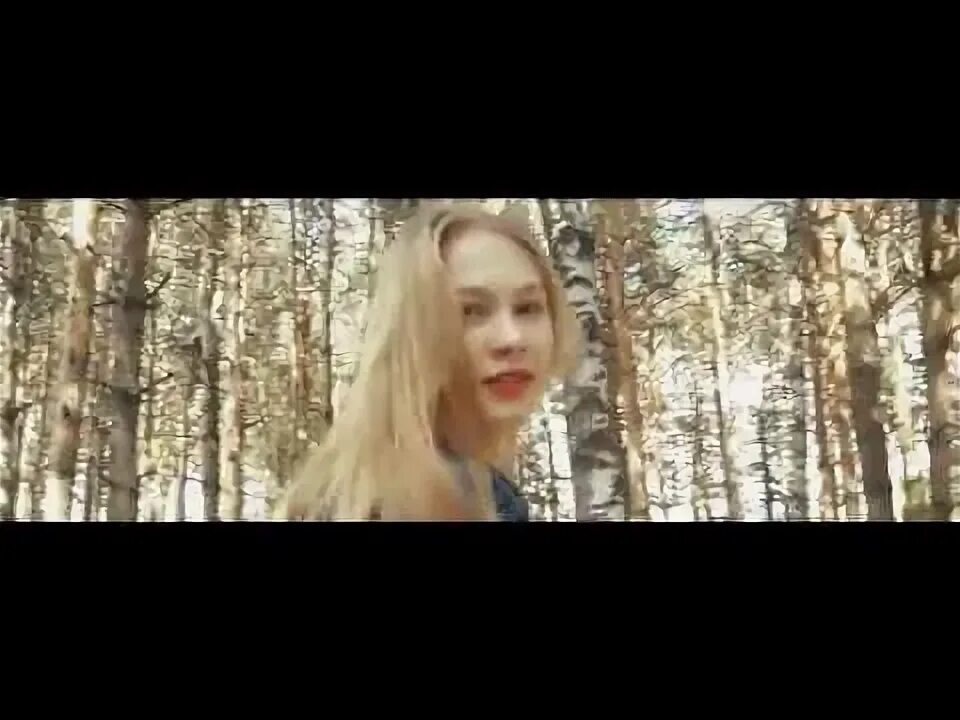 Старый лес клип. Старый лес клип. Песня старый лес. Шатунов старый лес. Ласковый май старый лес.