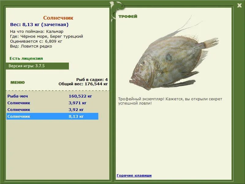 синежаберный солнечник. солнечник 3. солнечник 3. солнечник черноморский. Labidesthes sicculus.
