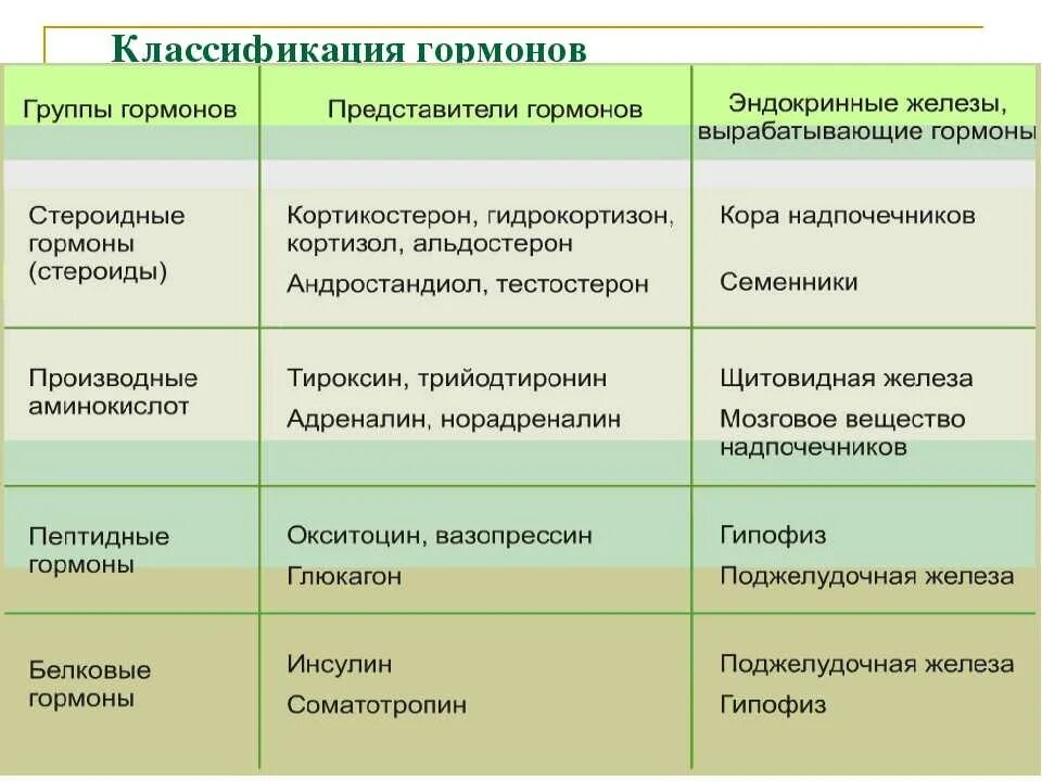 Как влияют гормональные