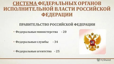 Федеральные органы исполнительной власти профилактика правонарушений