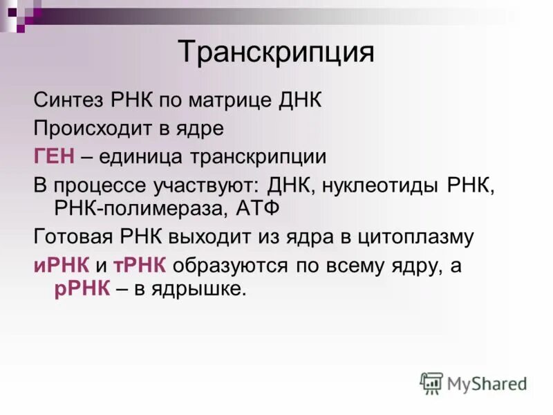 Транскрипция РНК по матрице ДНК. Транскрипция это Синтез. РНК синтезируется в ядрышке. Синтез РНК транскрипция.