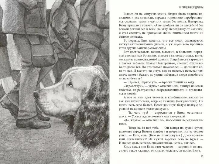 Краткое содержание белый бим черное ухо читать. Иллюстрации белый бим. белый бим черное ухо рисунок. иллюстрации в книге г.троепольского белый бим черное ухо.