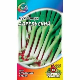 Пересаживаем лук батун осенью