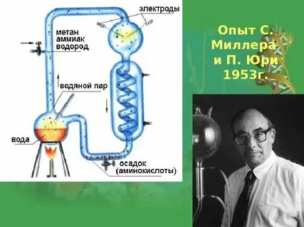Эксперимент миллера юри