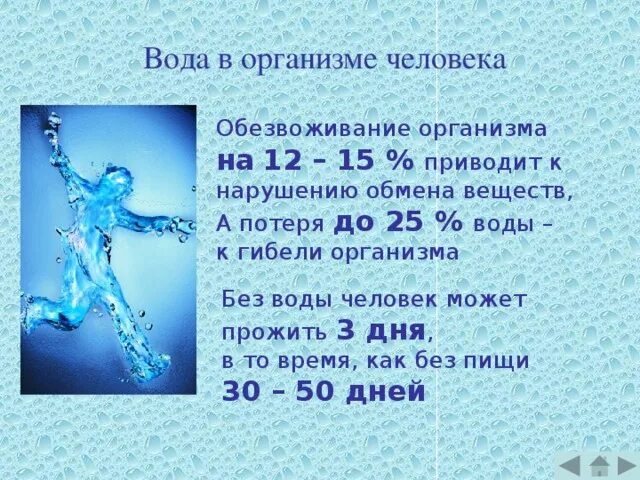 Вода в организме. Потеря воды человеком. Потеря организмом воды приводит к.