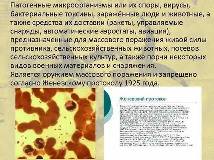 Патогенными микроорганизмами являются