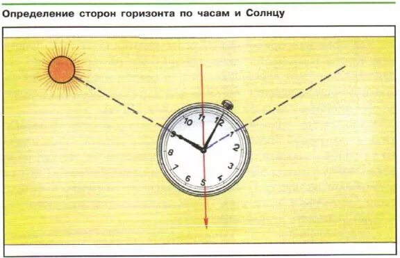 Стороны горизонта по часам и солнцу. Определить стороны горизонта по солнцу и часам. Ориентирование на местности по солнцу и часам. Определение сторон горизонта по солнцу и часам.