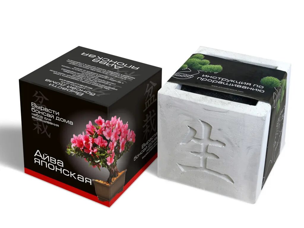 Бонсай подарочный набор. Вырасти бонсай набор. Набор для выращивания бонсая. Вырасти бонсай набор. Вырасти бонсай набор.