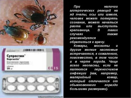 У пчел есть аллергия