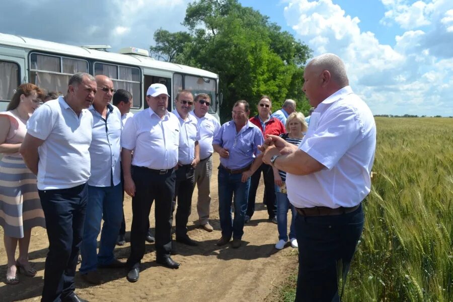 Погода в с апанасенковском ставропольского края. Воздвиженское Ставропольский край Апанасенковский район. Колхоз Родина Ставропольский край Апанасенковский район. Колхоз Воздвиженское Апанасенковского района Ставропольского края. Село Вознесеновское Ставропольский край Апанасенковский район.