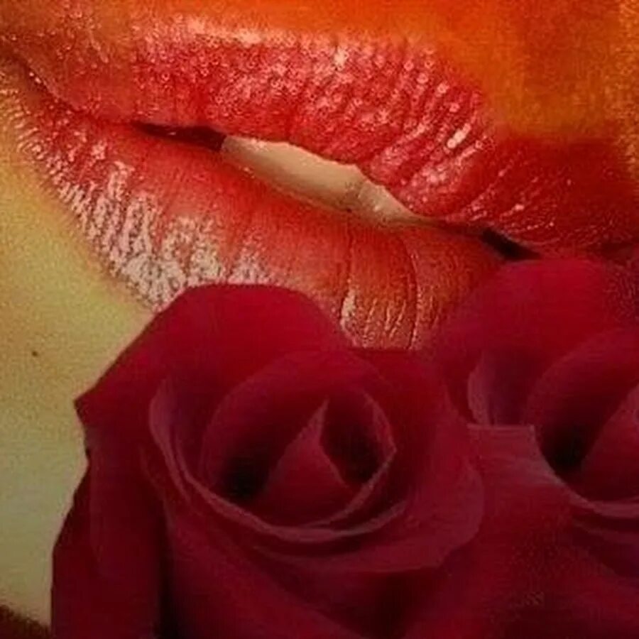 Губы твои алые розы. Открытки с любовью и нежностью. Твои нежные губы. Губы твои алые розы. Фотосессия с розами.